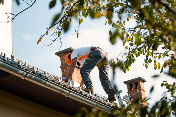 Best Gutter Installation and Roofing  in Deforest, WI