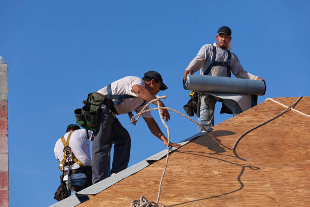 Best Local Roofing Companies  in Deforest, WI