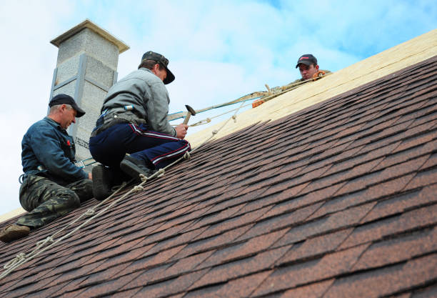Best Roof Gutter Cleaning  in Deforest, WI